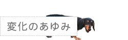 変化のあゆみ